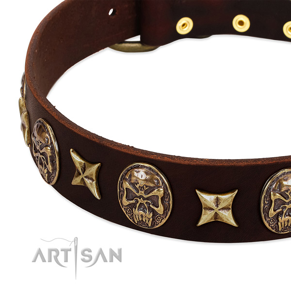Corrosion resistant studs on genuine leather dog collar for your pet