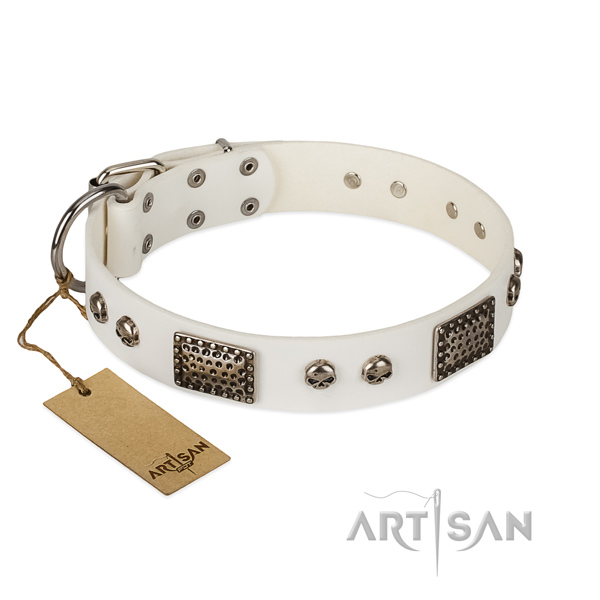 Easy wearing genuine leather dog collar for stylish walking your dog