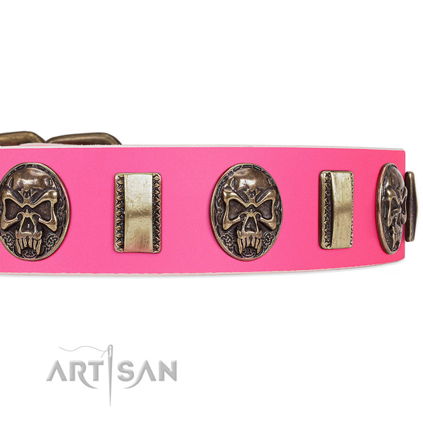 Strong embellishments on natural genuine leather dog collar for your pet