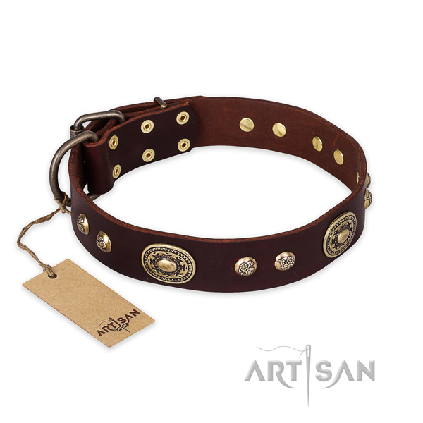 Adorned natural leather dog collar for everyday use