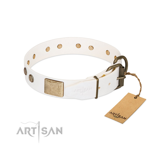 Rust resistant studs on easy wearing dog collar