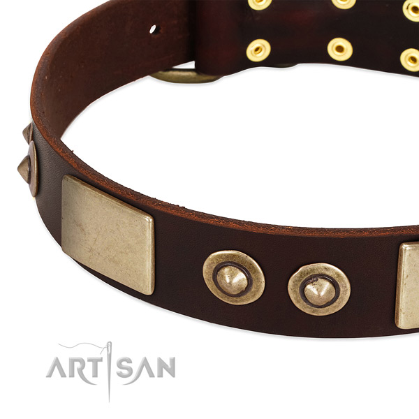 Corrosion proof D-ring on leather dog collar for your canine
