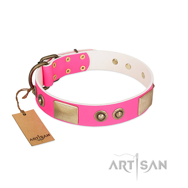 Durable fittings on leather dog collar for your doggie
