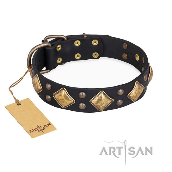 Walking studded dog collar with rust-proof D-ring