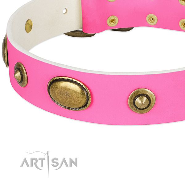 Strong embellishments on natural leather dog collar for your four-legged friend