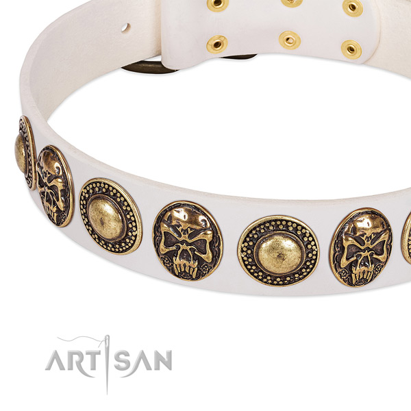 Rust-proof decorations on genuine leather dog collar for your four-legged friend