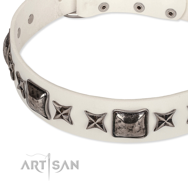 Daily walking studded dog collar of strong full grain leather