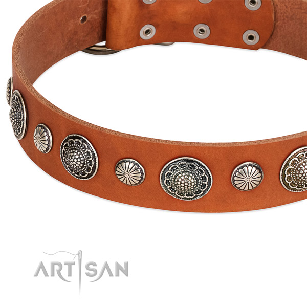 Natural leather collar with strong traditional buckle for your stylish canine