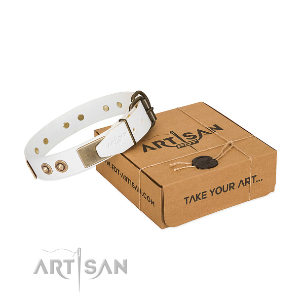 Rust-proof decorations on leather dog collar for your pet