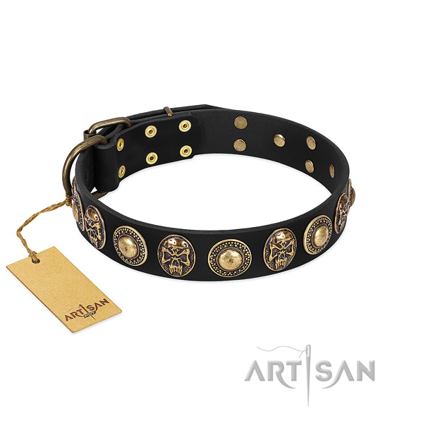 Adjustable leather dog collar for stylish walking your pet