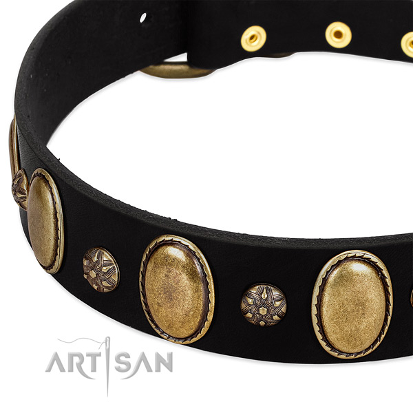 Walking reliable full grain leather dog collar