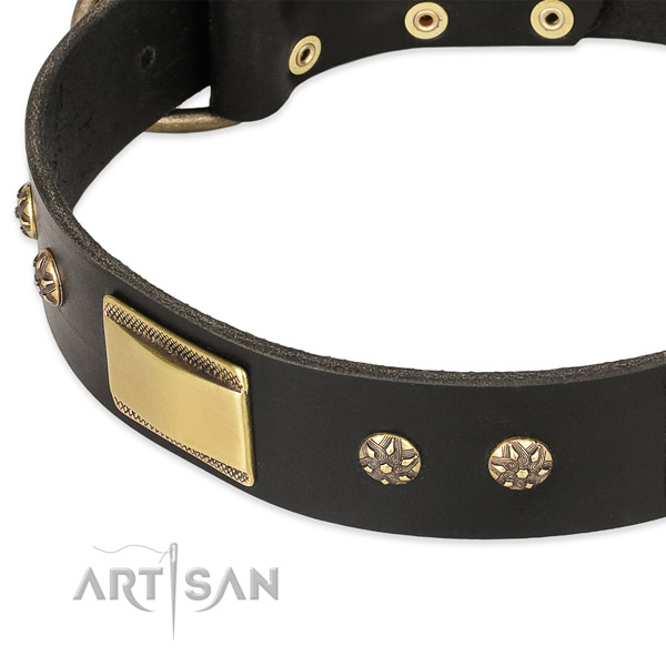 Rust-proof D-ring on leather dog collar for your dog