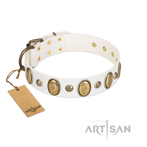 Natural leather dog collar of best quality material with unusual decorations