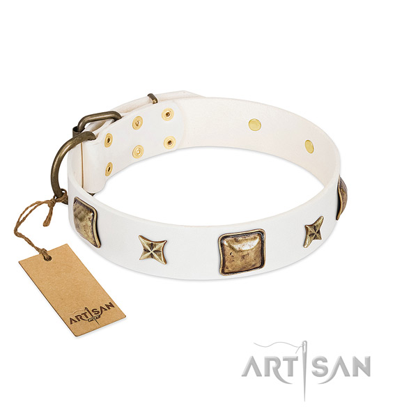 Studded full grain genuine leather collar for your four-legged friend