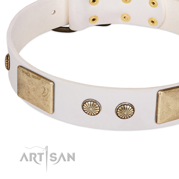 Durable D-ring on full grain natural leather dog collar for your canine