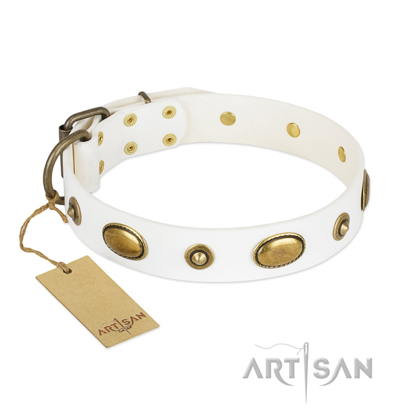 Extraordinary genuine leather collar for your four-legged friend