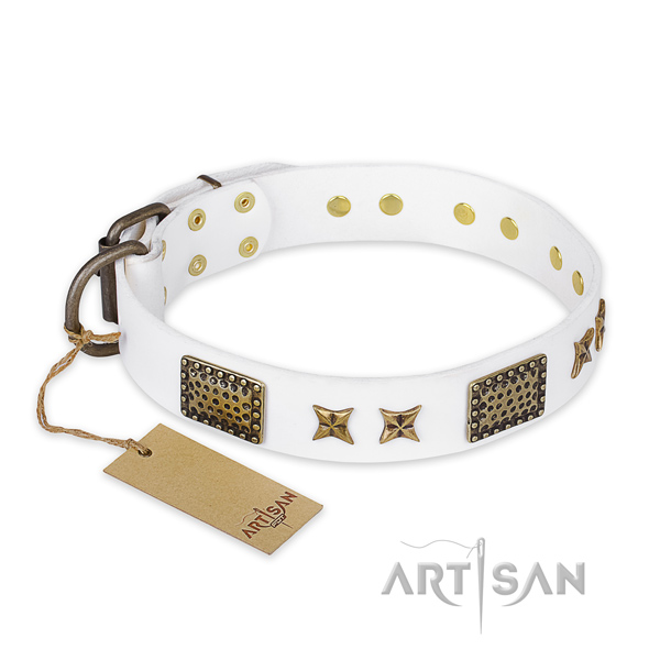 Adorned leather dog collar with strong buckle
