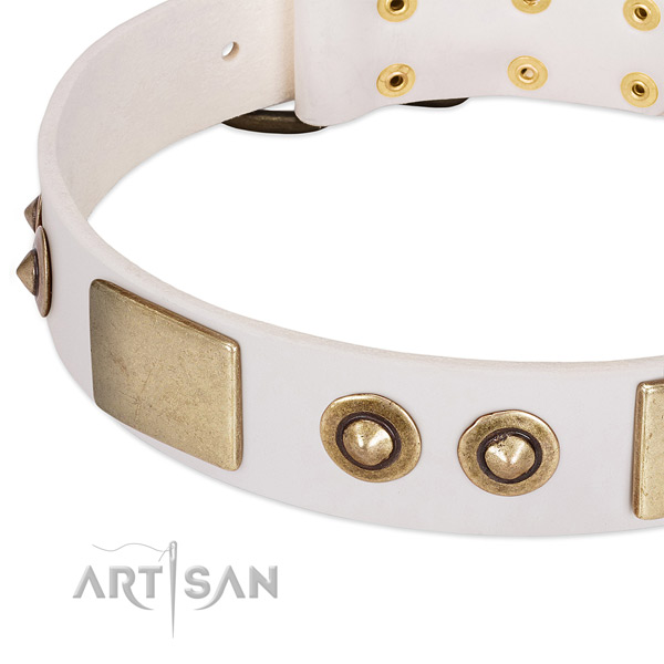 Rust resistant decorations on full grain leather dog collar for your pet