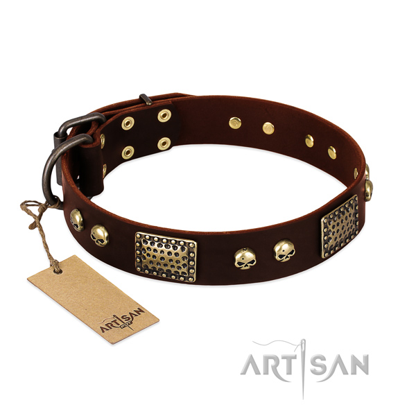 Adjustable full grain natural leather dog collar for basic training your four-legged friend