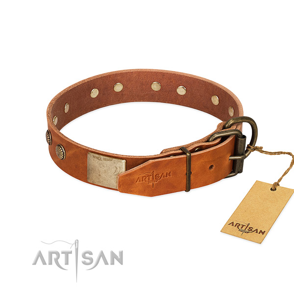 Strong embellishments on basic training dog collar