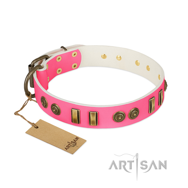 Top notch leather collar for your pet