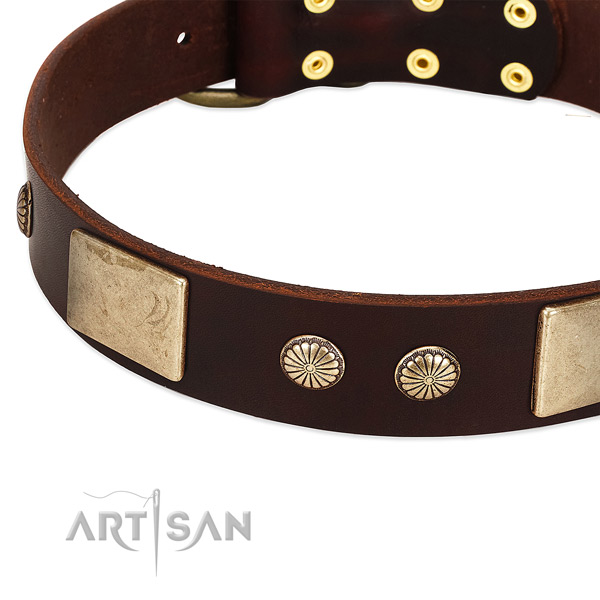 Strong hardware on leather dog collar for your canine