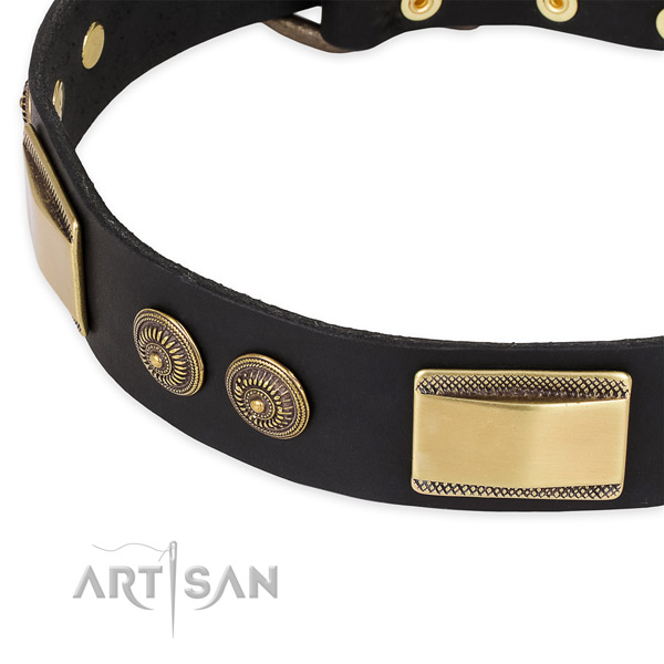 Trendy genuine leather collar for your beautiful canine