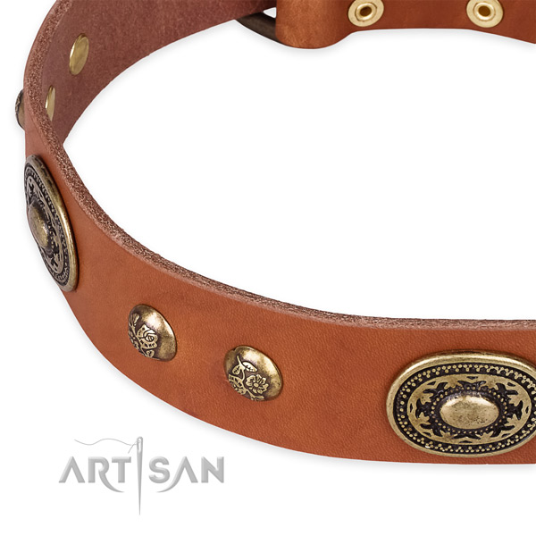 Comfortable full grain genuine leather collar for your impressive four-legged friend