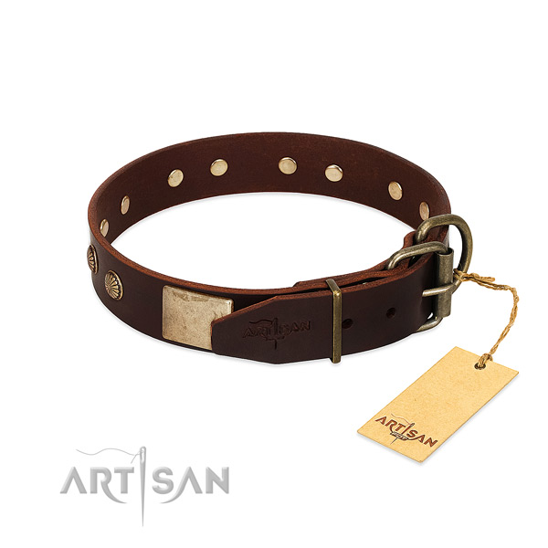 Reliable embellishments on daily walking dog collar