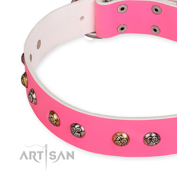 Full grain leather dog collar with impressive durable adornments