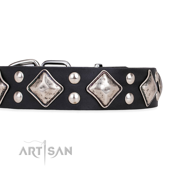 Full grain leather dog collar with impressive durable adornments