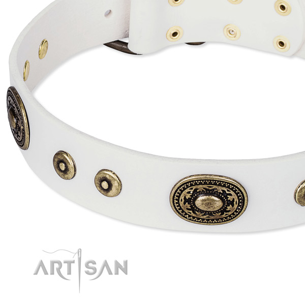 Full grain leather dog collar made of reliable material with studs