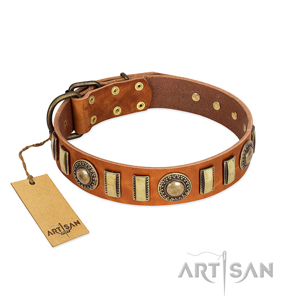 Quality natural leather dog collar with durable traditional buckle