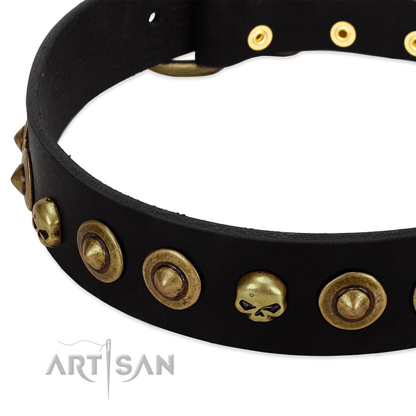 Leather dog collar with stunning decorations