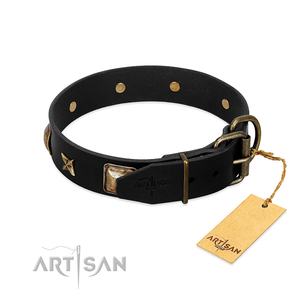 Durable D-ring on genuine leather collar for everyday walking your doggie