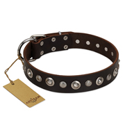 "Gorgeous Shields" FDT Artisan Brown Leather Mastiff Collar with Old Silver-like Circles and Small Camomiles "Gorgeous Shields" FDT Artisan Brown Leather Mastiff Collar with Old Silver-like Circles and Small Camomiles