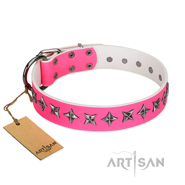 Easy wearing dog collar of reliable full grain leather with decorations