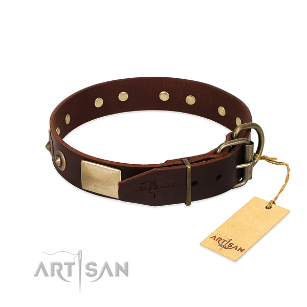 Reliable D-ring on stylish walking dog collar