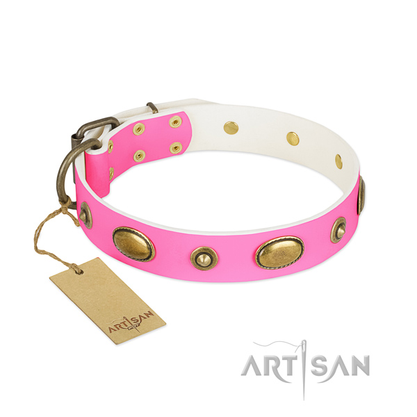 Easy adjustable leather collar for your canine
