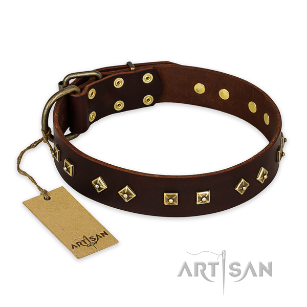 Top quality genuine leather dog collar with reliable fittings