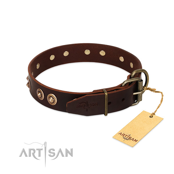 Corrosion resistant traditional buckle on genuine leather dog collar for your canine