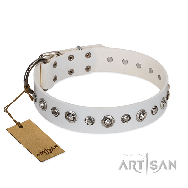 Fine quality leather dog collar with trendy adornments