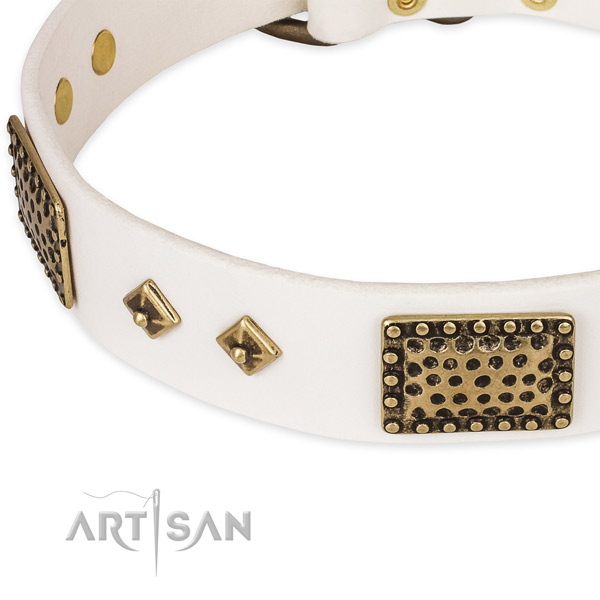 Reliable embellishments on full grain genuine leather dog collar for your four-legged friend