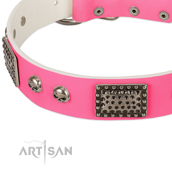 Corrosion proof adornments on natural leather dog collar for your four-legged friend