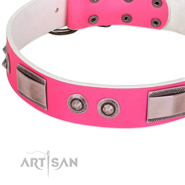 Extraordinary leather collar with decorations for your canine