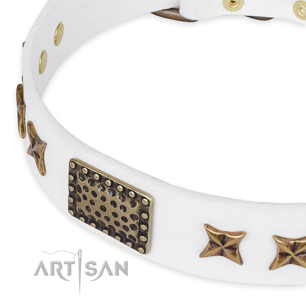 Genuine leather collar with reliable hardware for your impressive pet