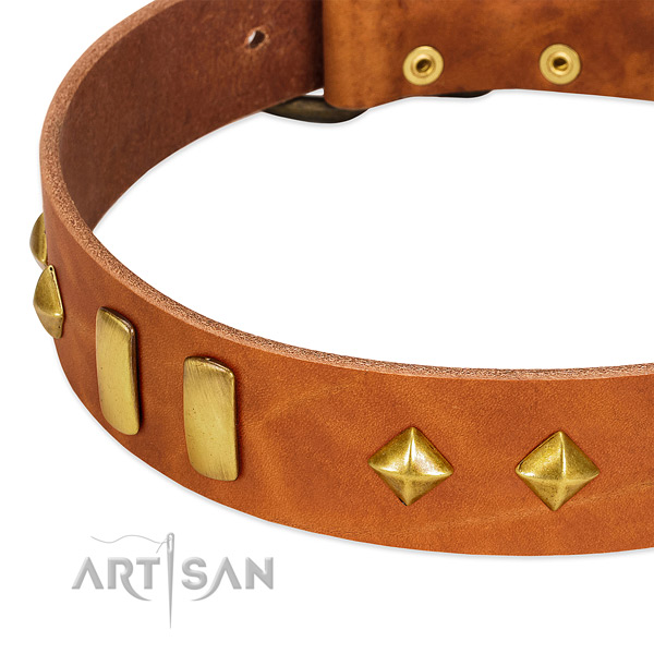 Everyday walking genuine leather dog collar with awesome studs