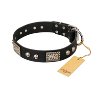 "Pirates Gold" FDT Artisan Black Leather Mastiff Collar with Old Silver Look Plates and Skulls