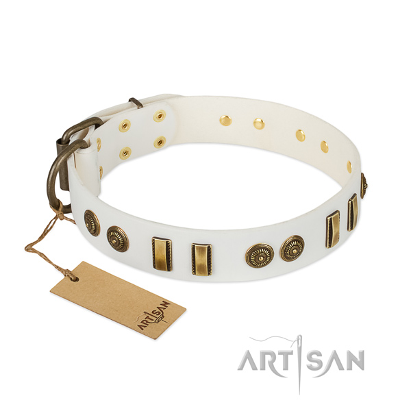 Rust resistant traditional buckle on leather dog collar for your pet