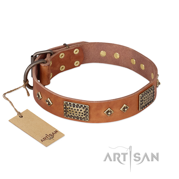 Amazing genuine leather dog collar for basic training